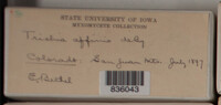 Image Associated With the Occurence